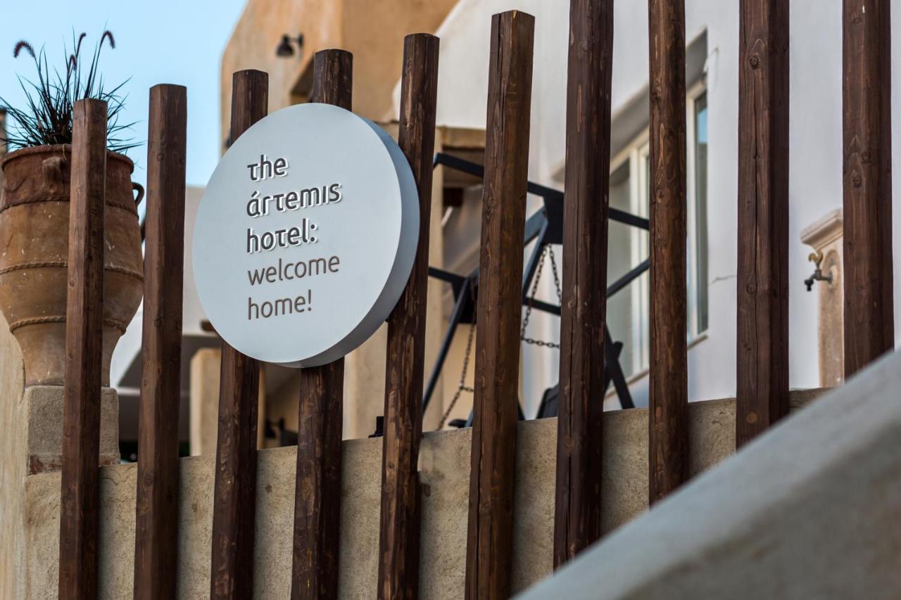 The Artemis Hotel Agia Anna  Exterior foto